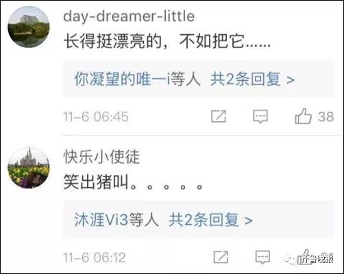 「文末附招聘」大学生宿舍养猪被通报批评！被发现的原因……平湖人有养过特别的宠物吗？