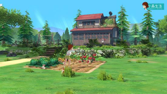 小森生活怎么解锁日式料理菜谱,小森生活第一道料理任务怎么完成