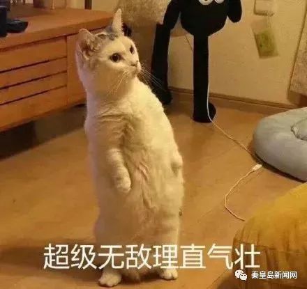 终于没忍住，我退出了初中同学群！你的微信群还好吗？