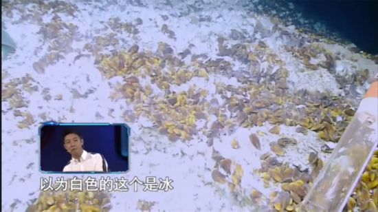 加油向未来可燃冰,可燃冰加油向未来