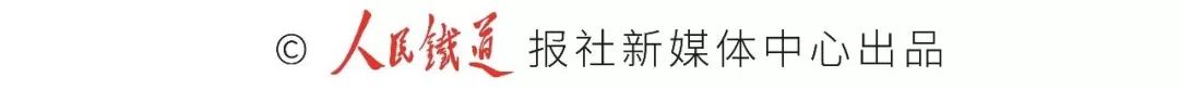 12306客服现在系统无法为你服务,12306官方客服咨询