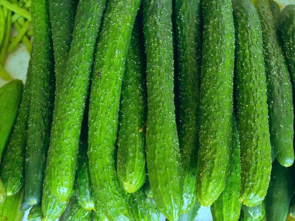 2018成都最全各大批发市场合辑,成都5大批发市场