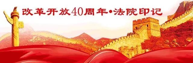 改革开放40年的回顾与展望勋章,改革开放40周年风雨兼程
