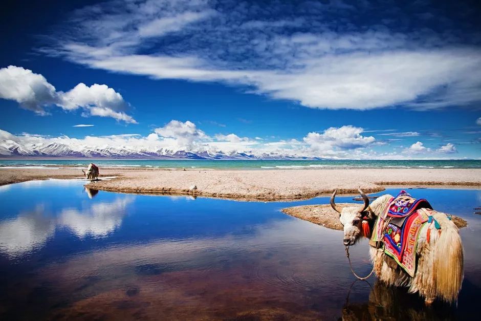 关于那些被各省藏起来的特产,全国各省特产合适带回家的