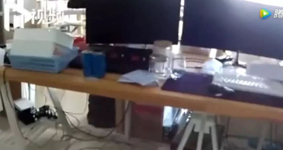 跨境打假追逃背后，“猫娘”们的生意经