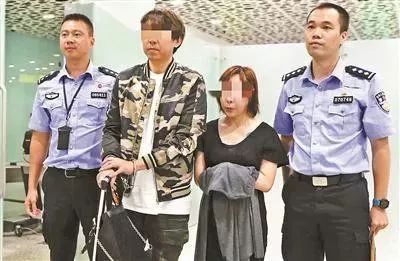 跨境打假追逃背后，“猫娘”们的生意经