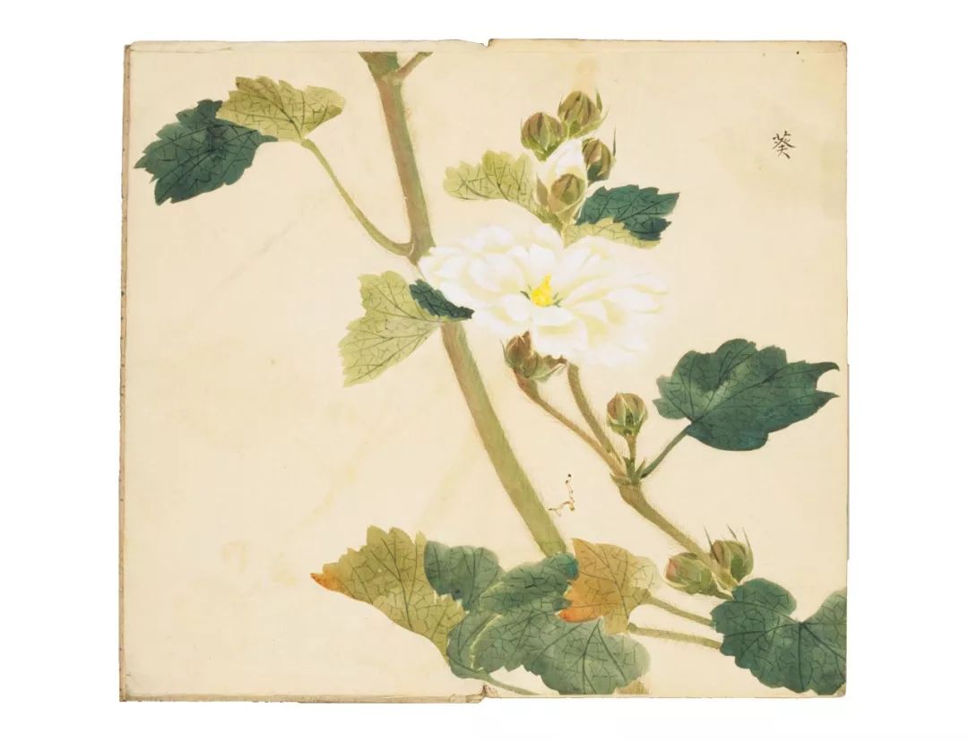 不要逼孩子死记硬背学古诗了,不要再给孩子盲目背诵古诗词了