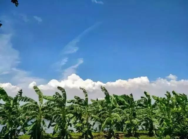 别去鼓浪屿挤了！佛山周边的5个小渔村！新鲜海鲜、绝美小桂林饱足眼福！