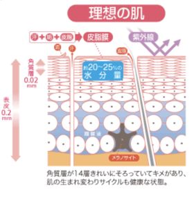 化妆水有必要使用吗,化妆水需要用好的吗