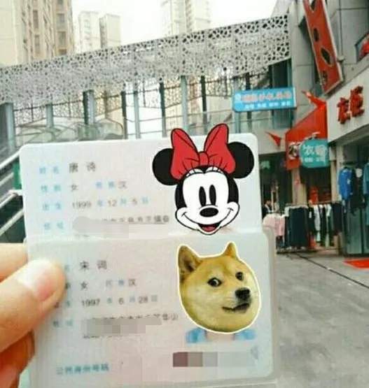 生僻字取名禤靐龘,笔画最多的名字禤靐龘