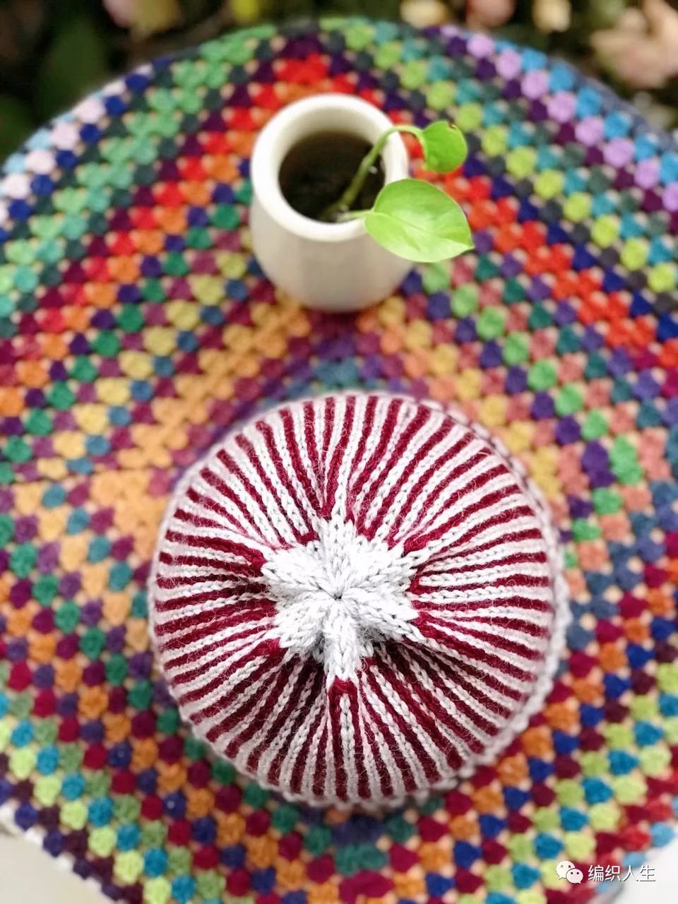 女款扭花毛线帽最新款教程,韩版时尚百搭毛线帽