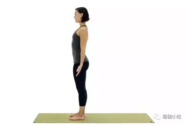 瑜伽初学入门18个基础体式,瑜伽体式精讲零基础入门高级体式