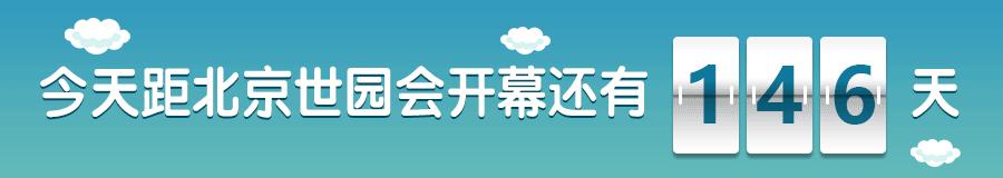 记忆里的那些花儿｜夜来香，我为你思量……