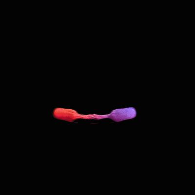 久等了，第一期《第一财经》杂志来啦！｜YiMagazine参见