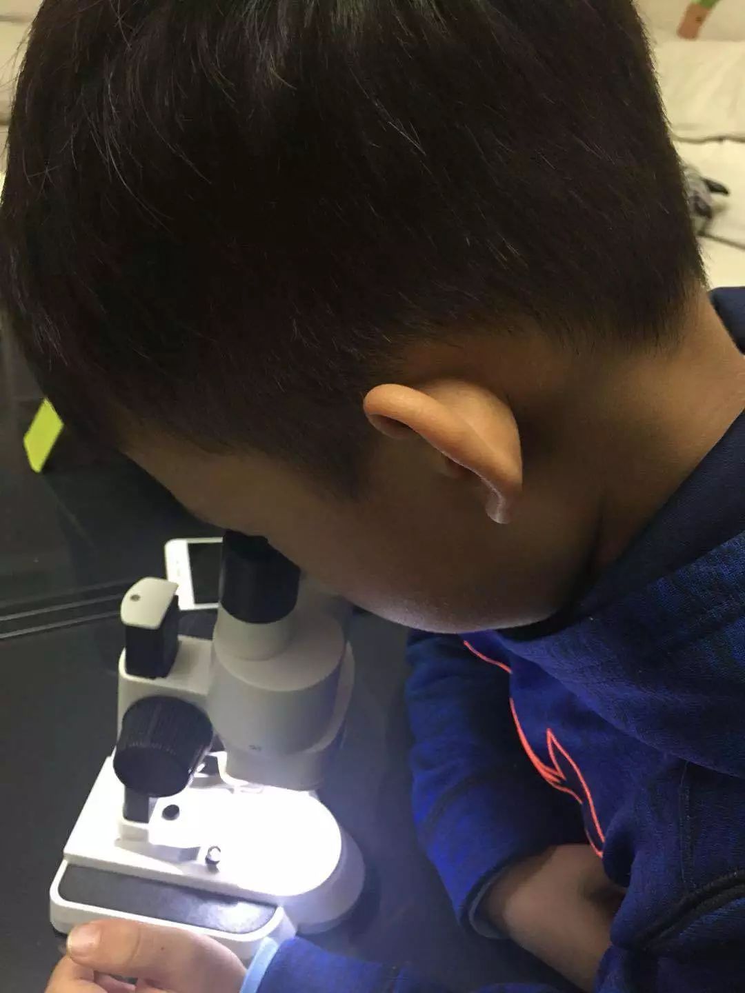 双12给宝宝囤的宝宝用品,双12宝宝必买清单