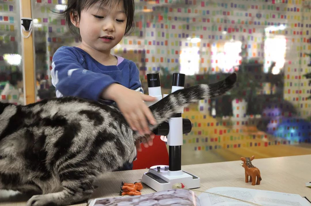 双12给宝宝囤的宝宝用品,双12宝宝必买清单