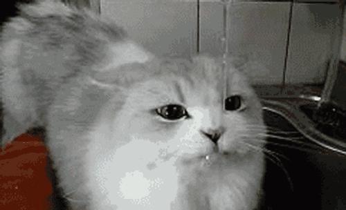 耐温差170℃，开水加冰块不怕炸裂，冰镇冷饮无限续杯