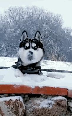 看着都疼！张靓颖伸个懒腰竟引发如此后果