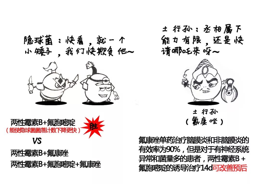 隐球菌治愈率高吗,隐球菌治好贵不贵