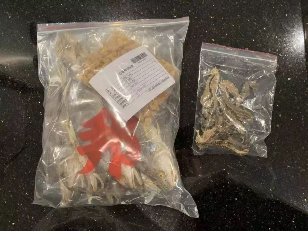 去港澳有什么不能带,港澳入境需要注意什么