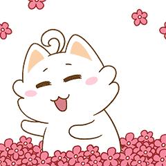 骄傲，我的贵阳！经济增速连续6年居全国省会城市第一