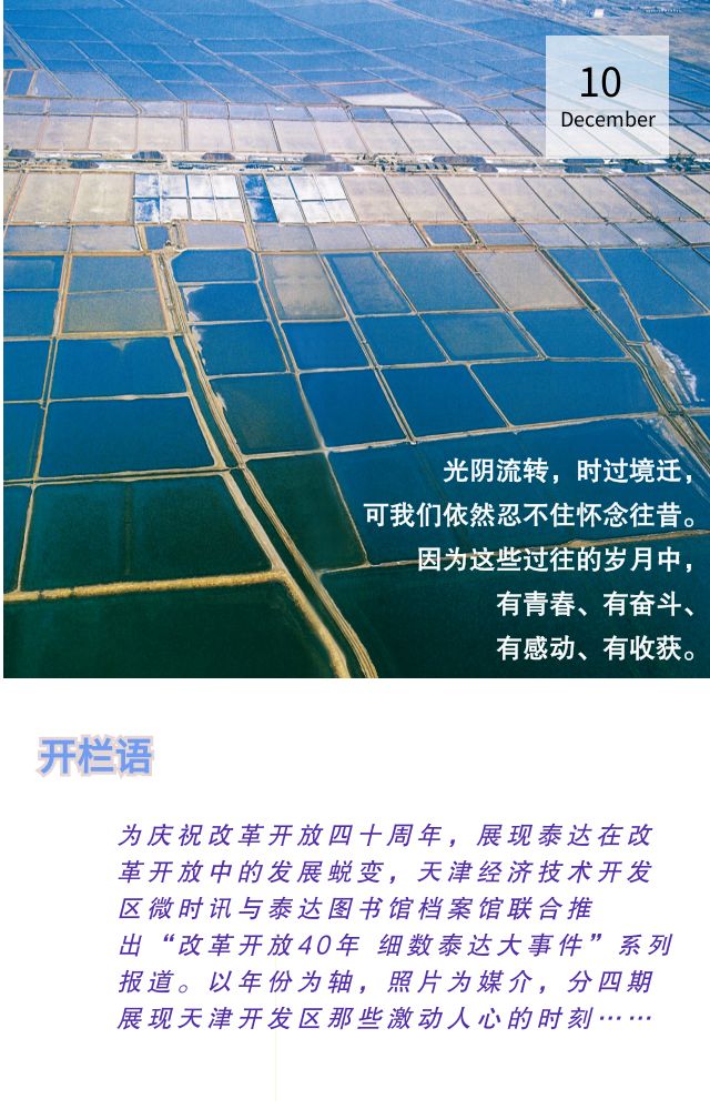改革开放四十年细数泰达大事件——日新月异