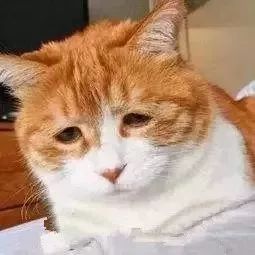 你买的南极人、恒源祥，为啥这么便宜？可能只有吊牌是真的