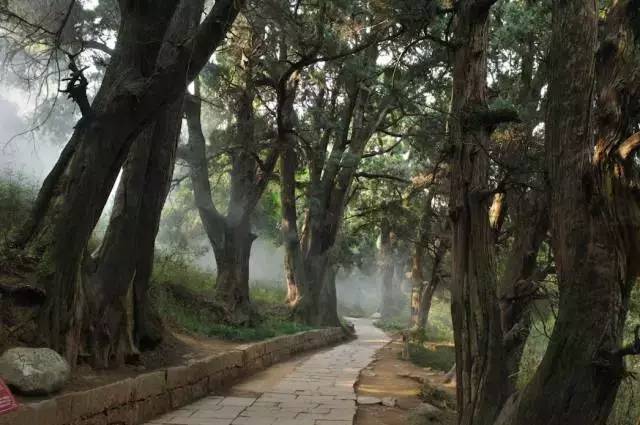 魅力中国城是为了什么,魅力中国城广元视频