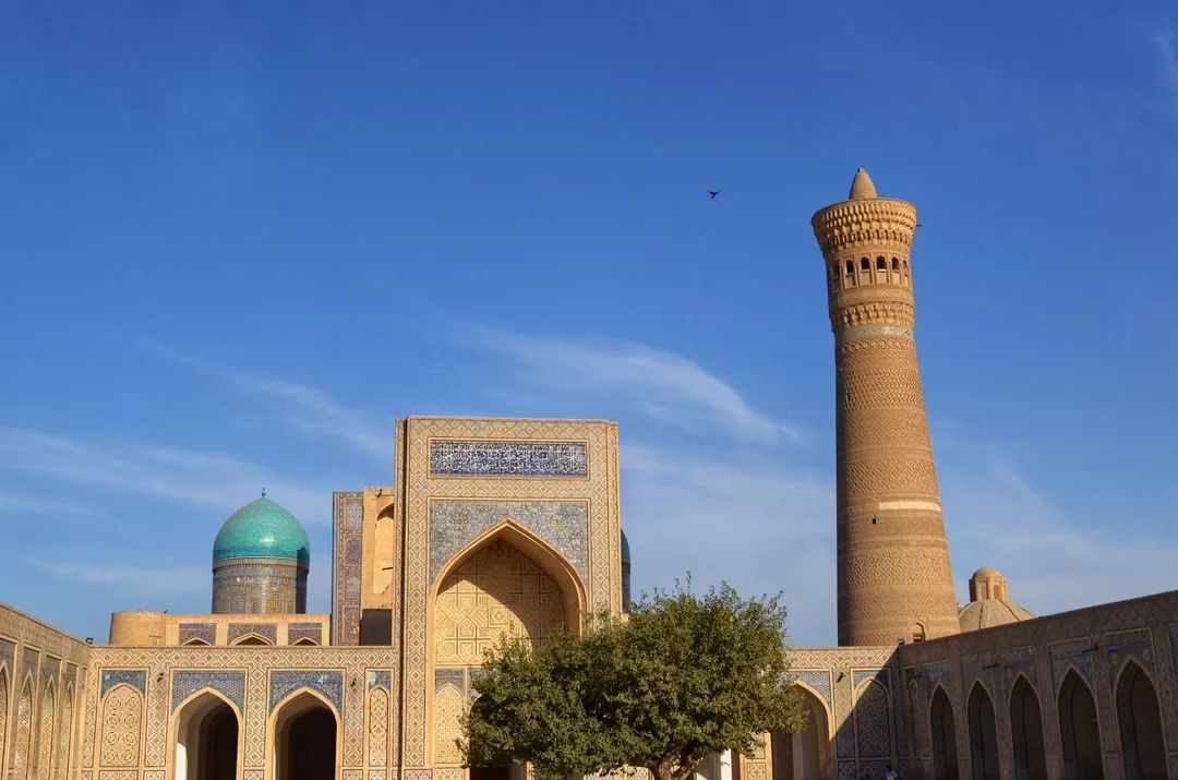 2400的国际往返机票，20美金的电子签证，探秘丝路古国，说走就走