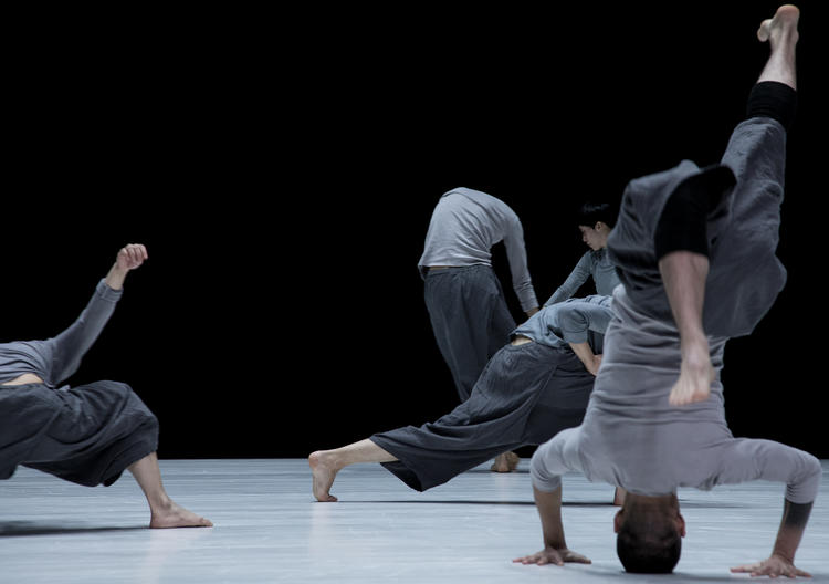 用舞蹈探索肉体自由的现代舞团“陶身体”，10年里经历了什么？｜100个有想法的人