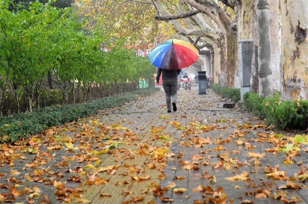 江宁新开通的公交线路,江宁公交出行情况