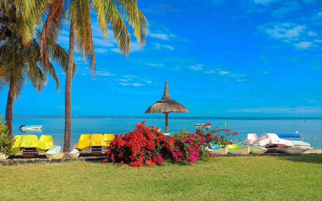 冬天又温暖又有很多美食的地方,冬天最幸福的事就是沐浴在日照下