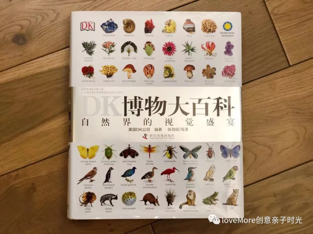 【最后三天！】错过再等三个月~等了又等的错过好物都在这儿！季末返团来了~