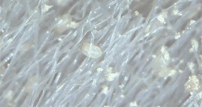 一秒吸水浴巾,超强吸水速干毛巾推荐