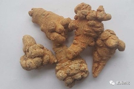 医生报道三七伤肝是真的吗,三七伤肝还是护肝