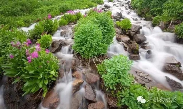 捷信三脚架选购,如何选择合适的三脚架