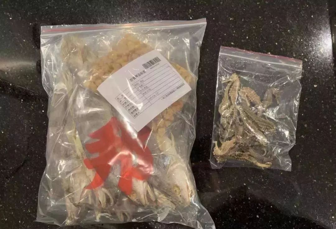 去港澳过关能够带食品吗,去东莞需要带哪些必备品