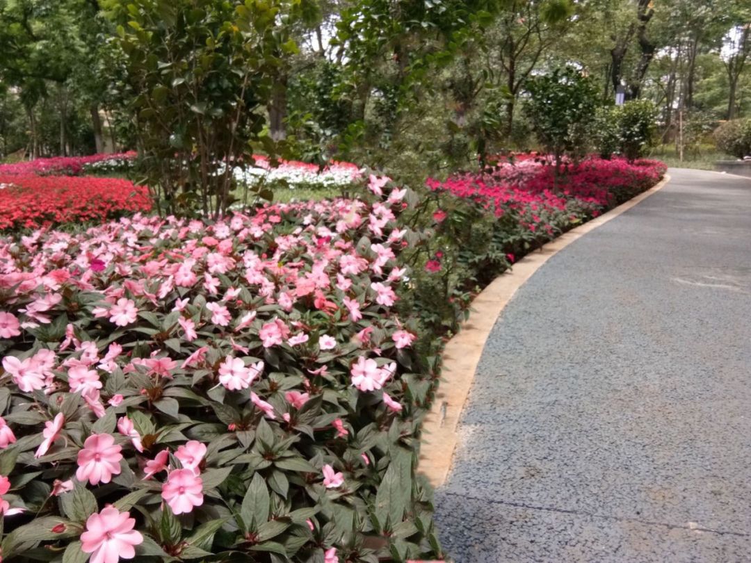 昆明立交桥旅游,昆明风景最好的立交桥