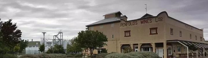 奔富真酒与假酒的销量,奔富酒为什么卖得好