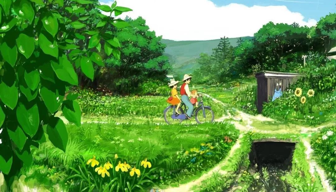 龙猫30年视频,龙猫三十年后是什么样子