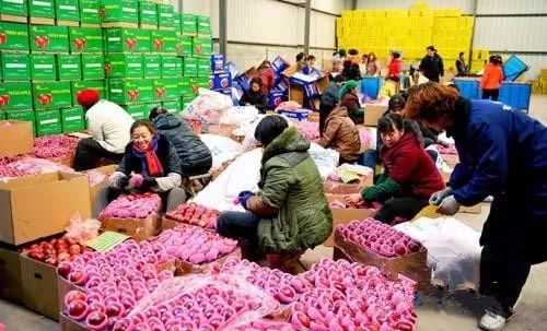 县级电商的发展思路,礼县电商发展前景