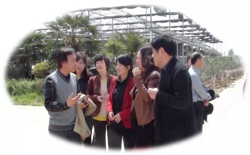 湖北洪湖陈红莉,陈红莉洪湖