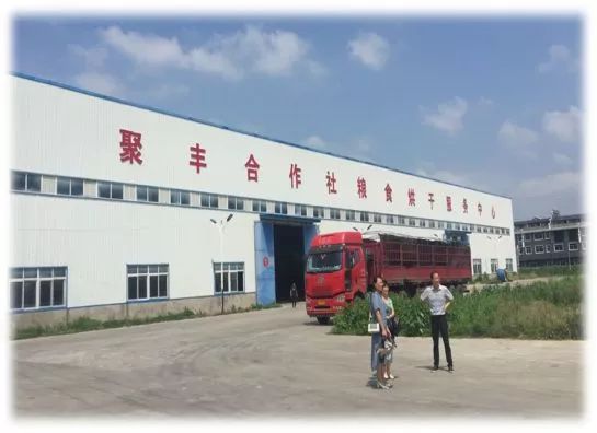 湖北洪湖陈红莉,陈红莉洪湖