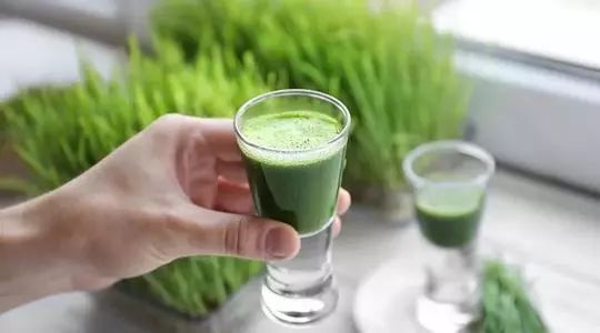 为什么喝了大麦青汁反而便秘了,大麦若叶青汁能够解决便秘吗