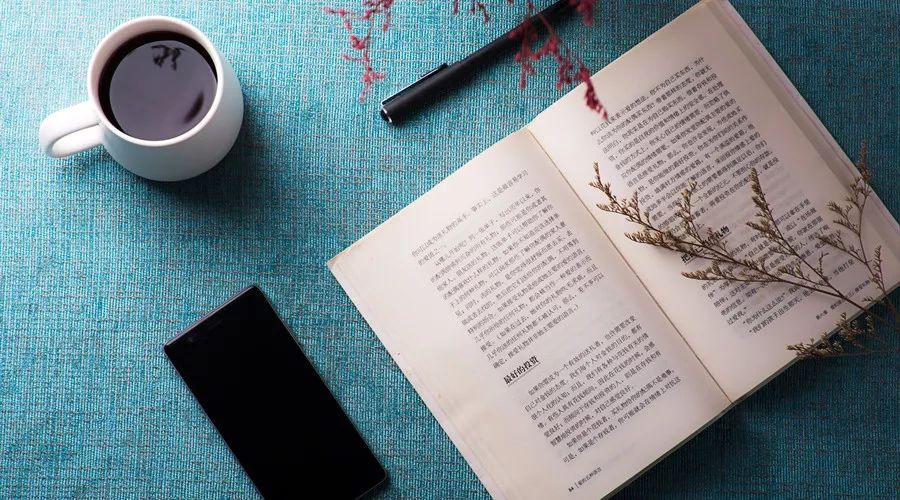 小学生写文章开头技巧讲解,小学写文章的十大技巧和方法