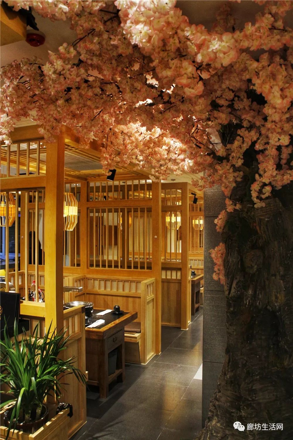 廊坊美食优惠团购前十名,廊坊美食优惠团购5-6人