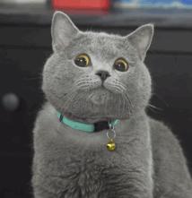 里面再穿条宽松阔腿裤也显瘦,能穿秋裤的阔腿裤推荐