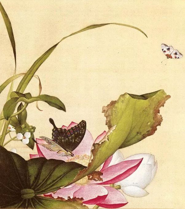 俩人生日对联大全,幽默日签对联大全