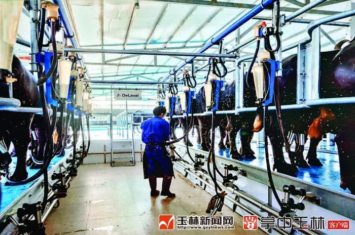 现在的博白是怎样的,你知道博白有多牛吗