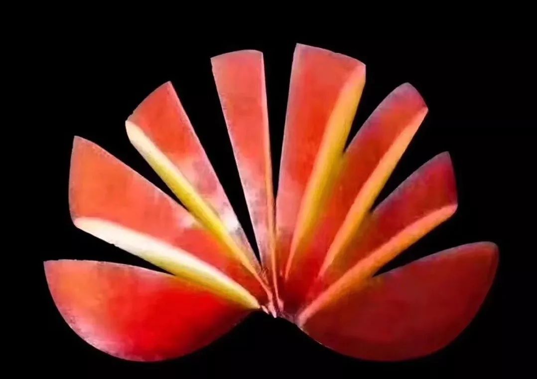 鬼知道我经历了什么小说在线看,鬼知道我经历了什么txt完全版